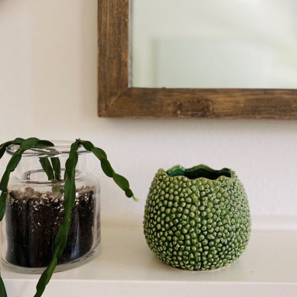 Ivory House | Mode Lychee Vase