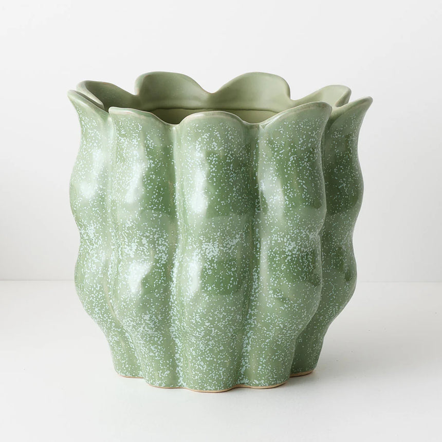Offshoot || Olivia Pot - Basil (Small)