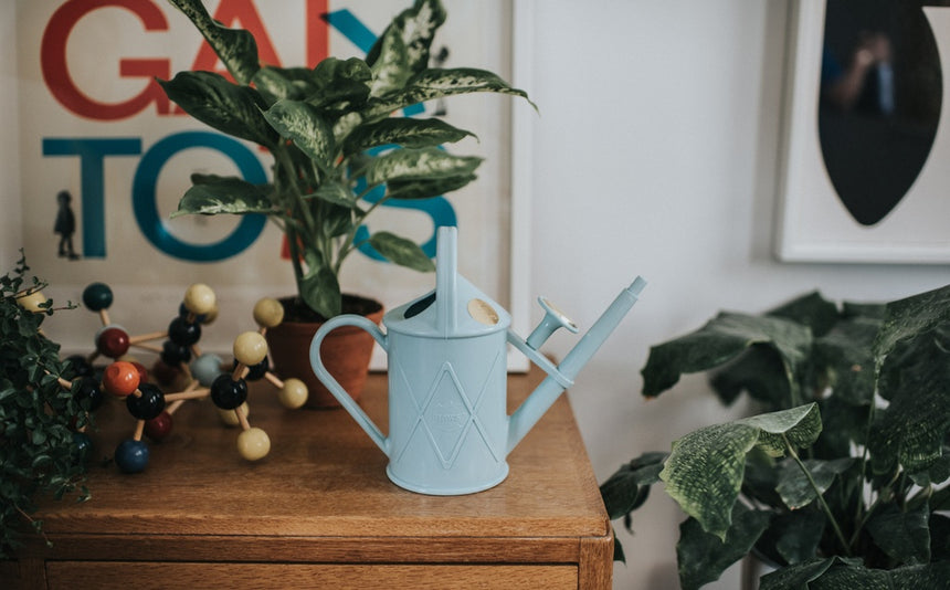 HAWS | The Bartley Burbler Plastic Watering Can - Duck Egg Blue