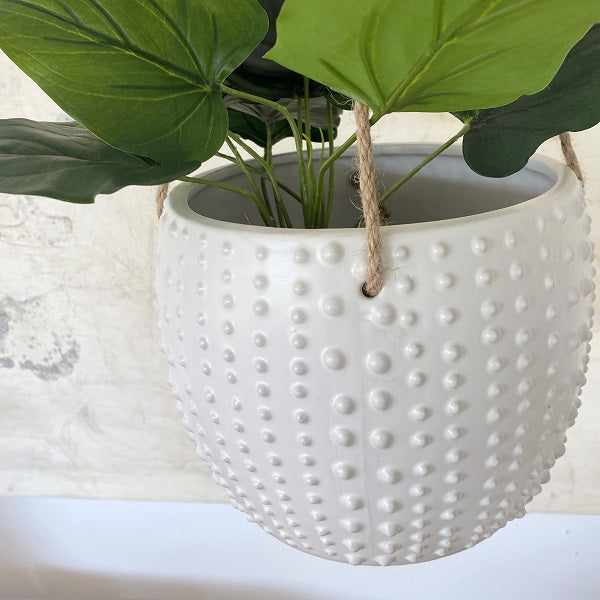 Ivory House | Mode Anemone Hanging Pot