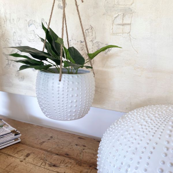 Ivory House | Mode Anemone Hanging Pot