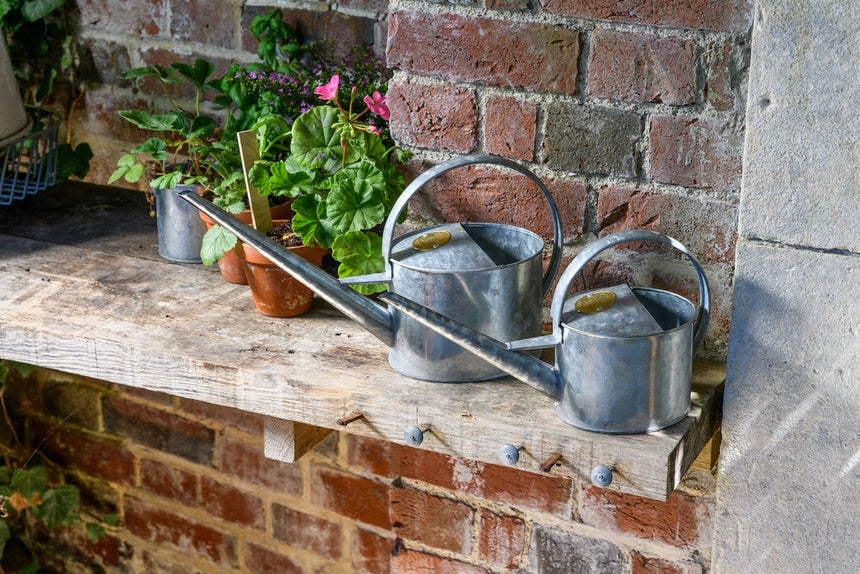 Burgon & Ball | Sophie Conran Indoor Watering Can - Galvanised Steel