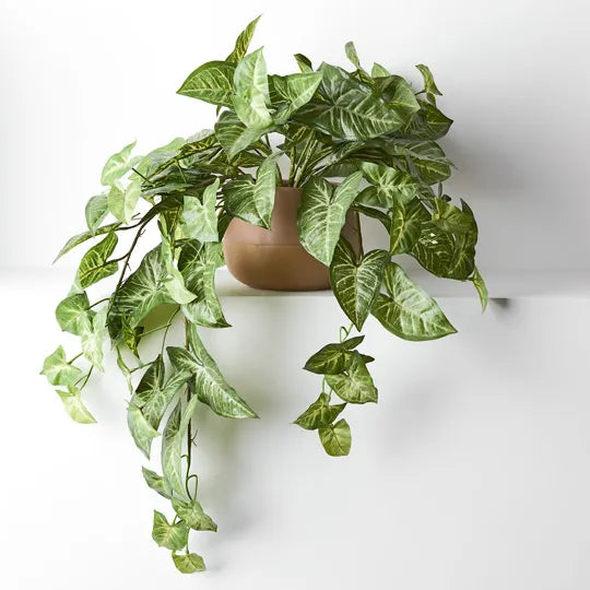 Losetta  Pot - Nude Medium