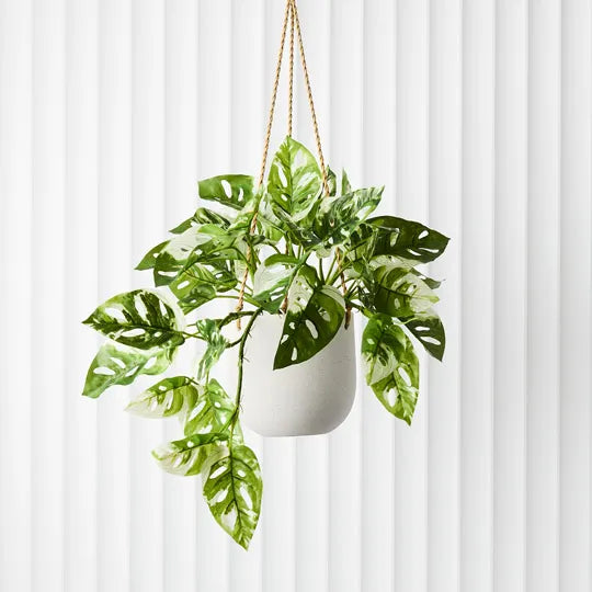 Flo Hanging Pot White