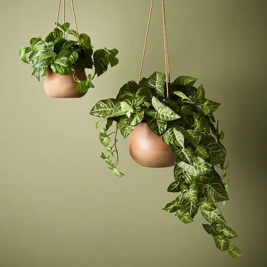 Losetta Hanging Pot - Nude Large