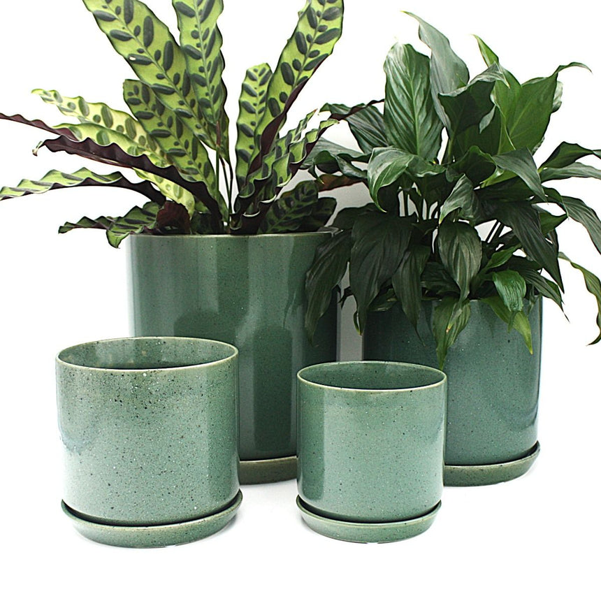 Oslo Planter Medium Agave