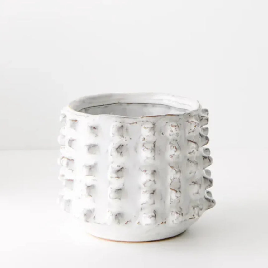 Offshoot | Alya Pot