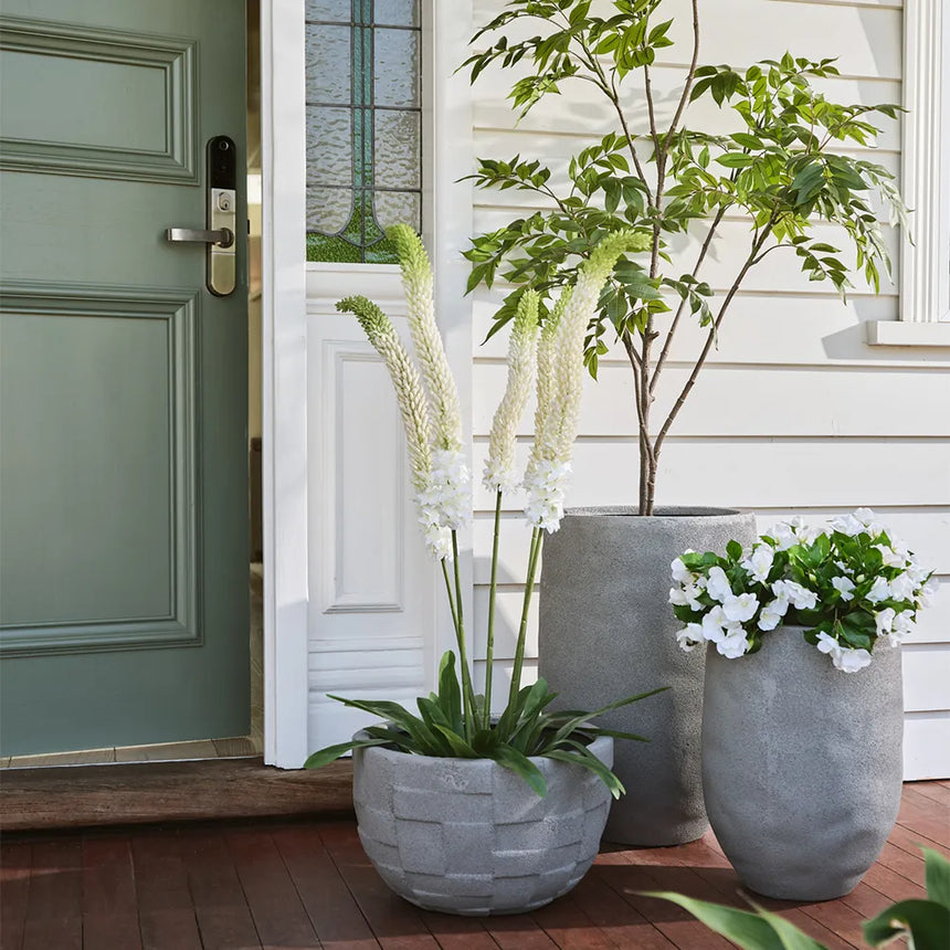 Offshoot | Buta Pot Grey