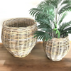 Cane Design  | Rattan Kubu Round Belly Planter