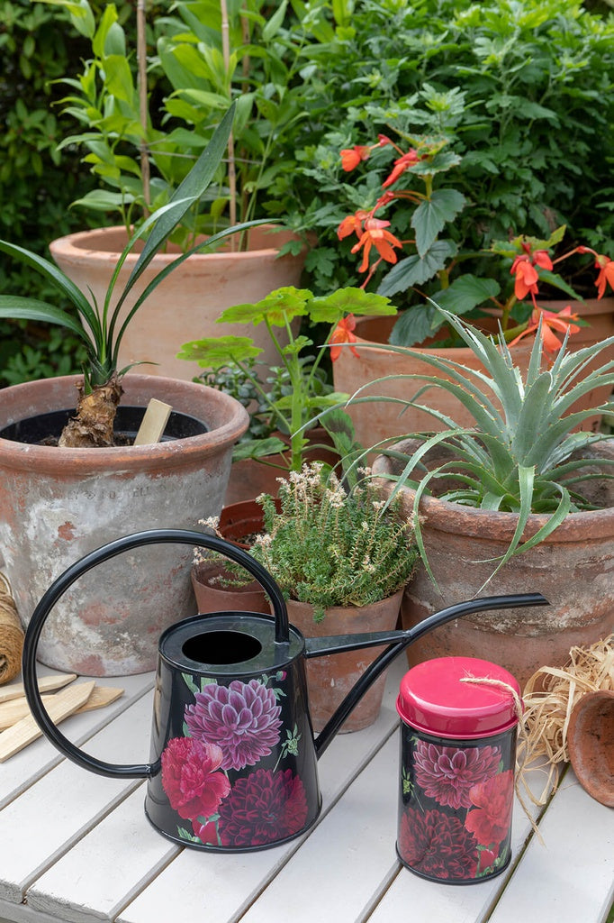Burgon & Ball || British Bloom Indoor Watering Can