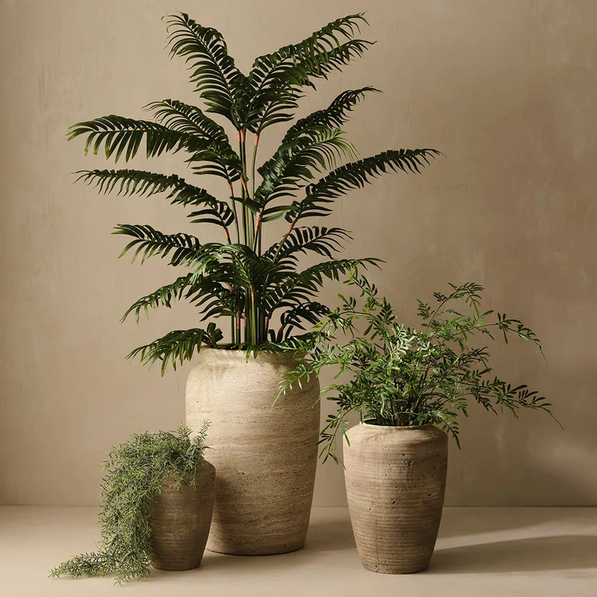 Offshoot || Caldera Pot Small