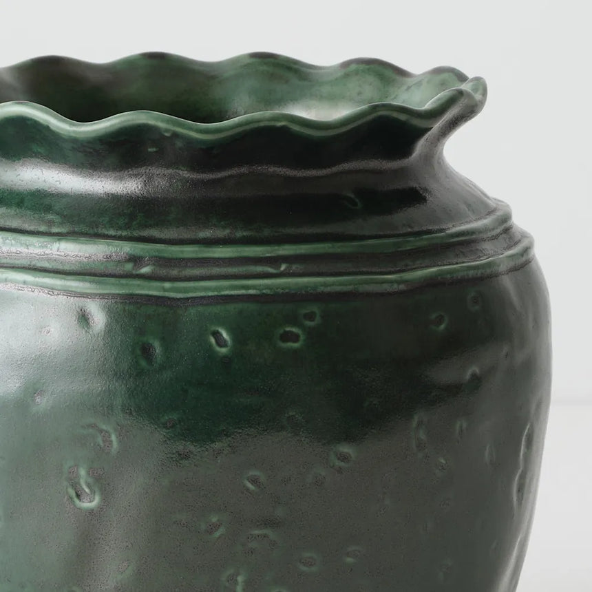 Offshoot || Favaro Pot Pine Green