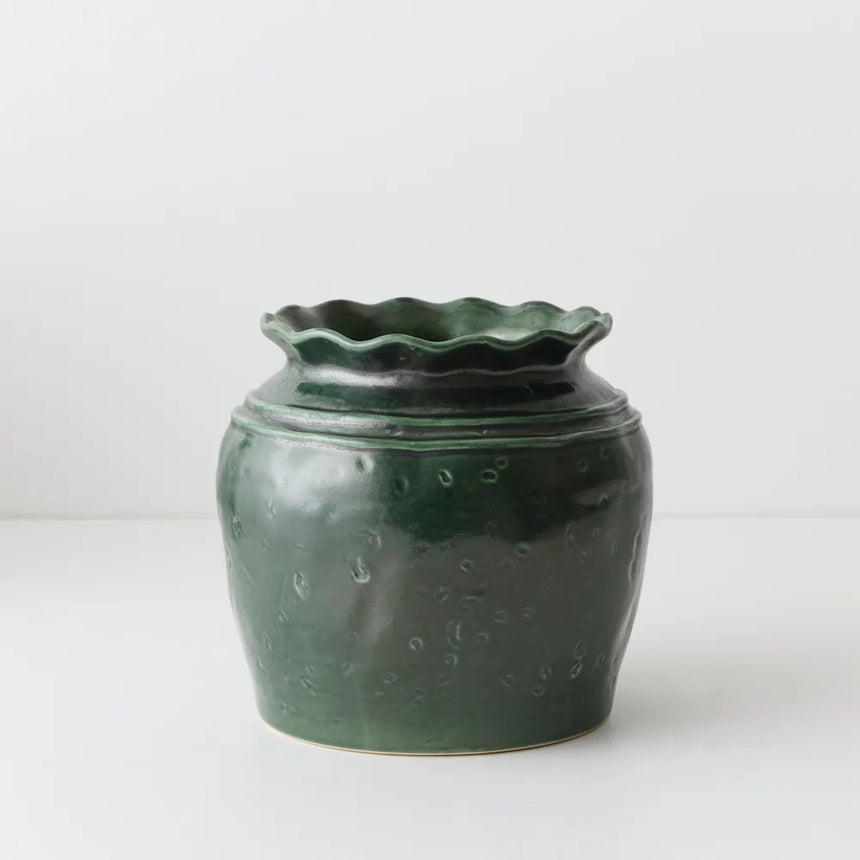 Offshoot || Favaro Pot Pine Green