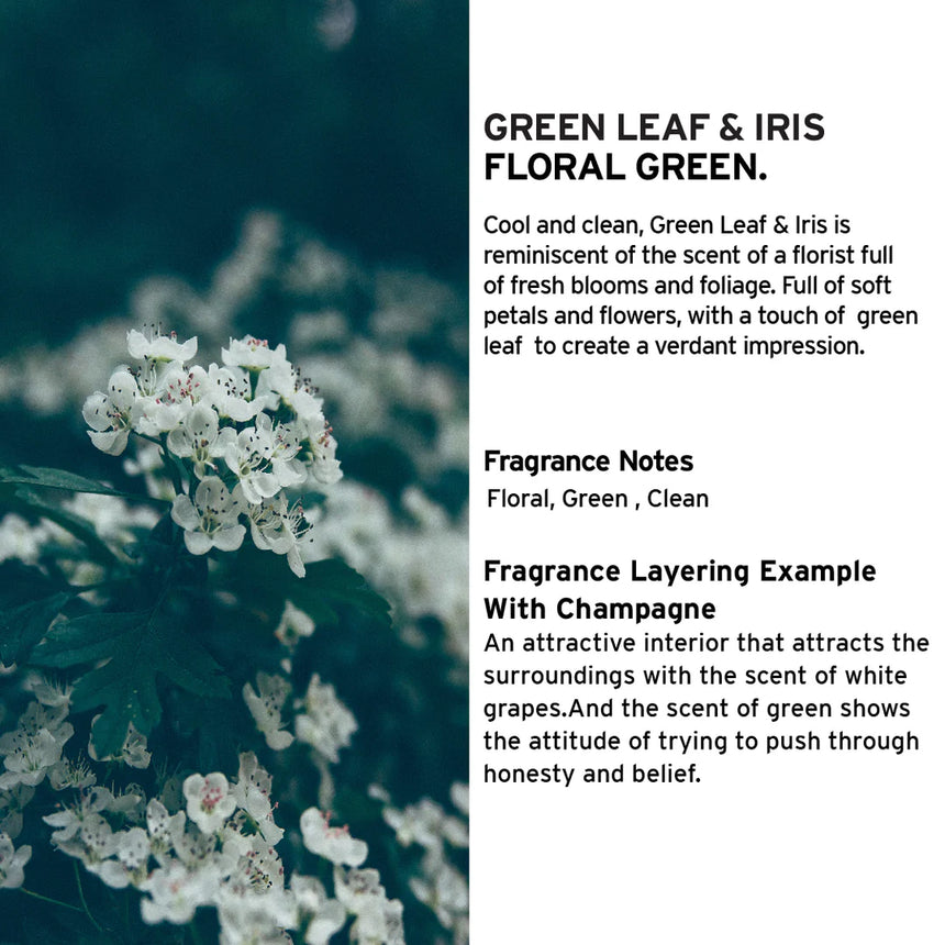 SHOLAYERED|| Green Leaf & Iris Reed Diffuser