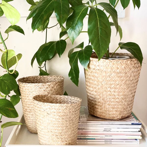 Ivory House | Grass Baskets