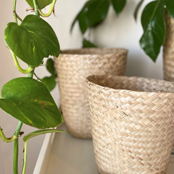 Ivory House | Grass Baskets
