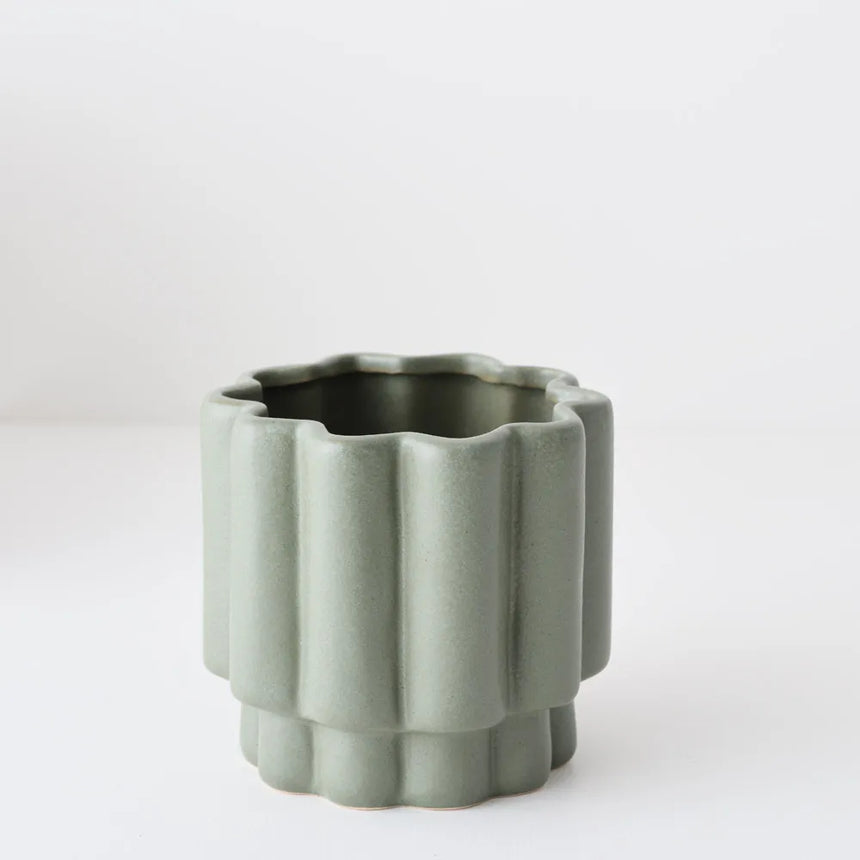 Offshoot || Gustel Pot Olive