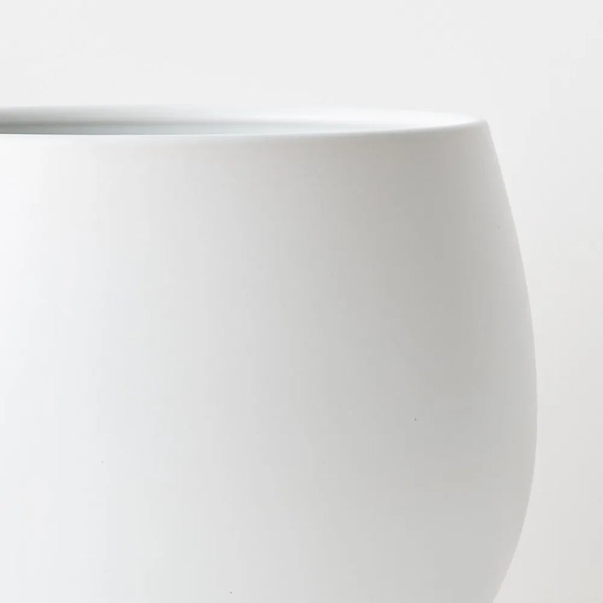 Offshoot || Haslea Pot