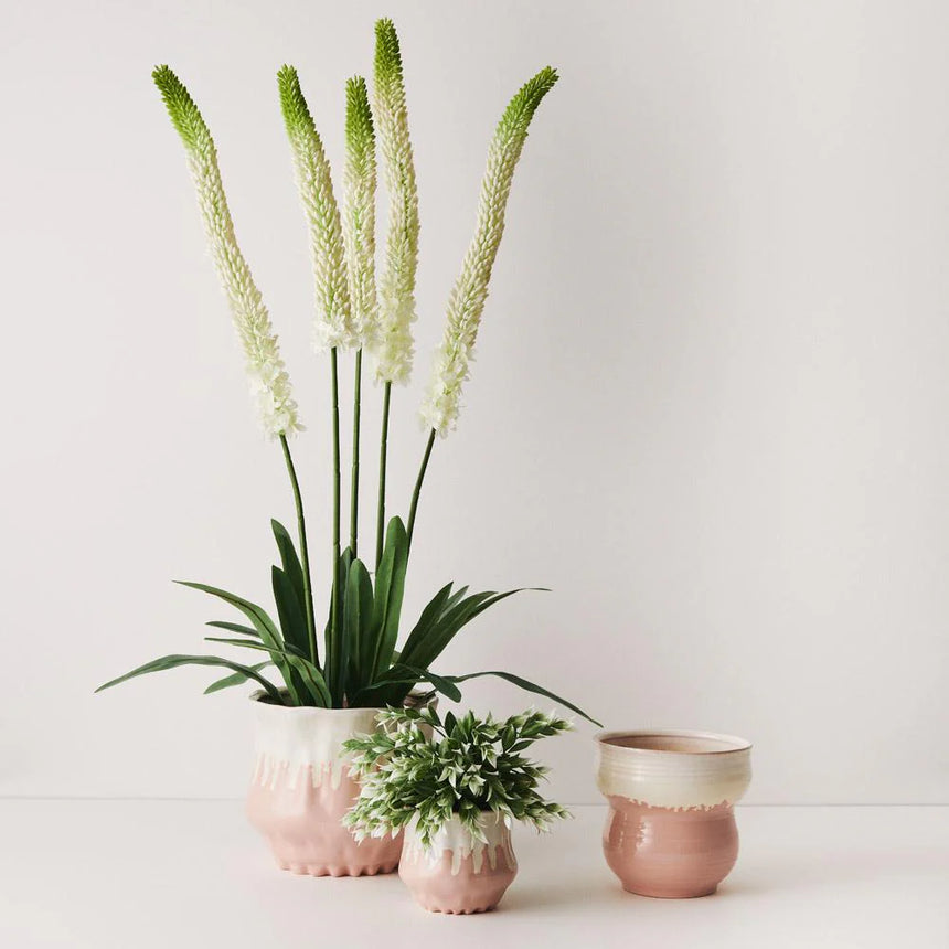 Offshoot || Jesse Pot - Pink