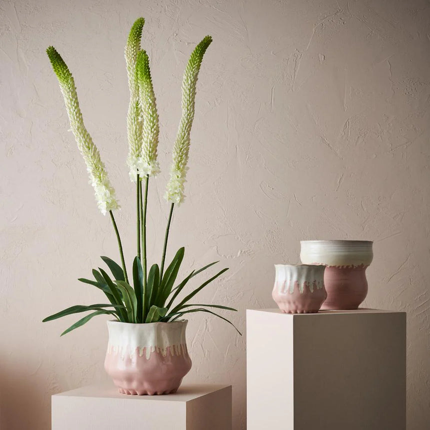 Offshoot || Jesse Pot - Pink