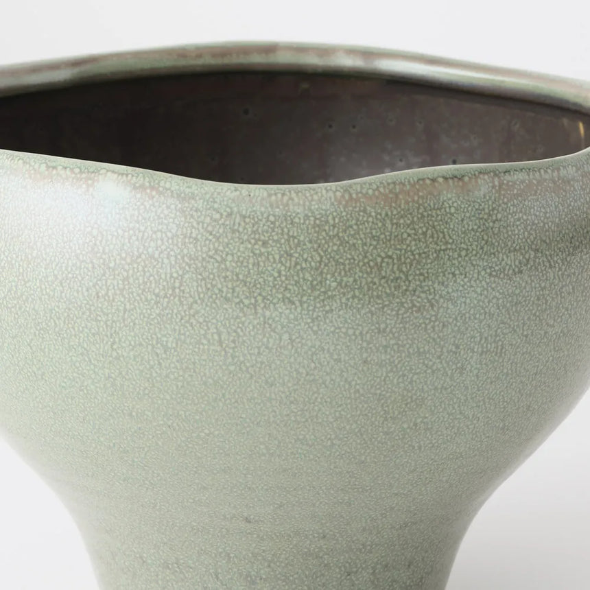 Offshoot || Kero Pot Daintree