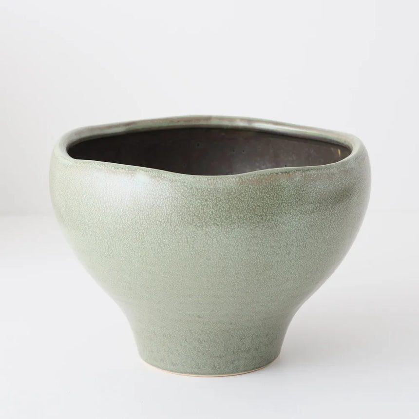 Offshoot || Kero Pot Daintree