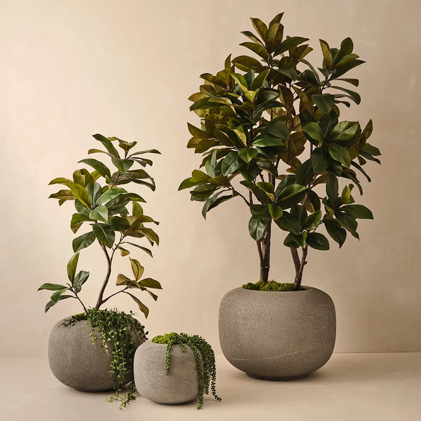 Offshoot || Koro Pot