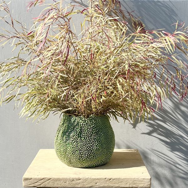 Ivory House | Mode Lychee Vase