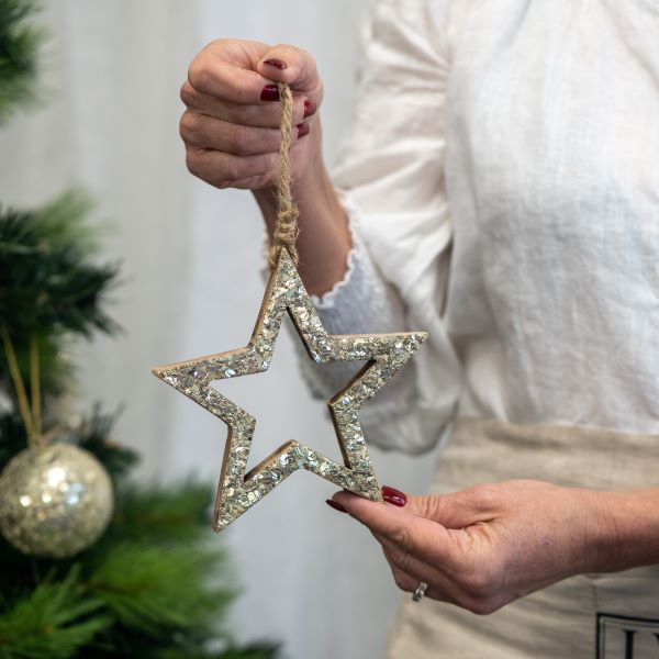 Ivory House | Lucia Metal Star