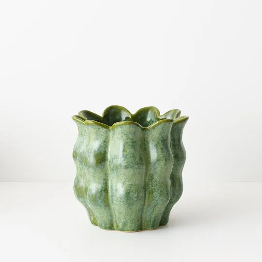 Offshoot || Olivia Pot - Basil (Large)