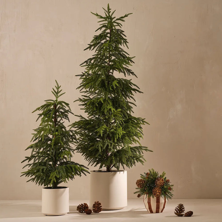Offshoot || Oreio Pot Brownie
