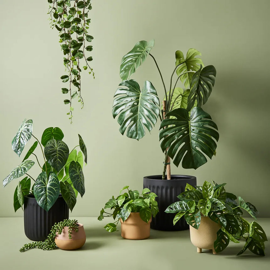 Offshoot | Pleat Round  Planter Black