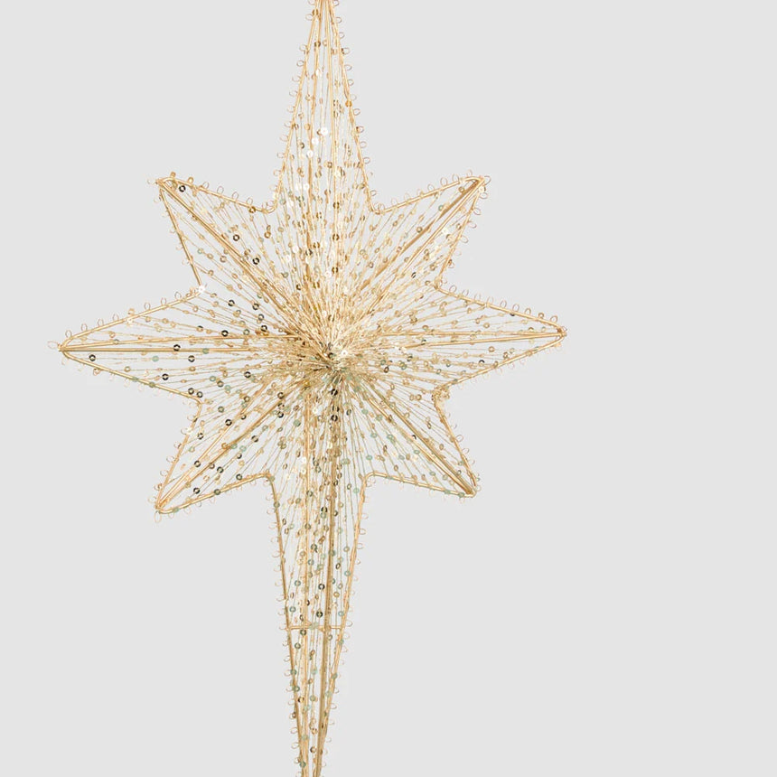 Vixen & Velvet by Florabelle Living  |  Polaris Golden Star