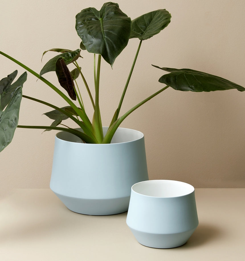 Middle of Nowhere | Samso Planter Sky Small