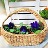 Cane Design | Seagrass Handled Carry Basket