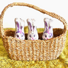 Cane Design | Seagrass Handled Carry Basket