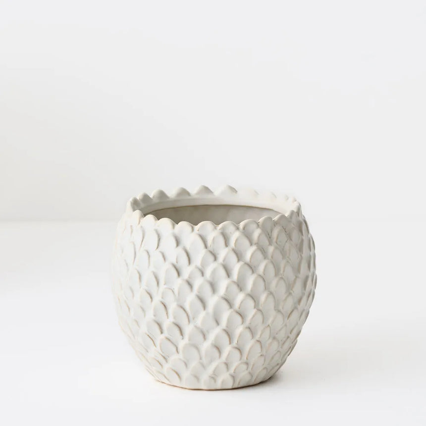 Offshoot || Skalee Pot White