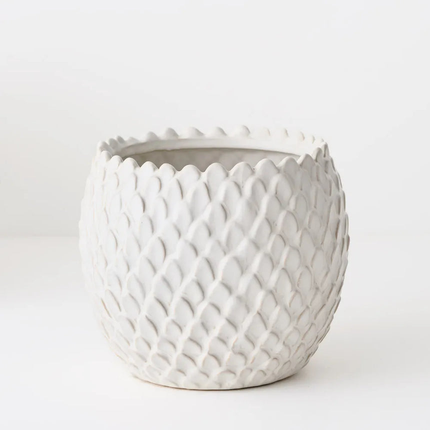 Offshoot || Skalee Pot White Large