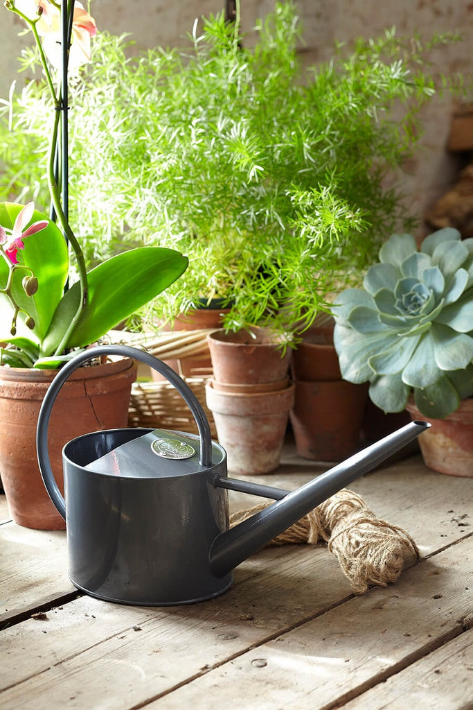 Burgon & Ball | Sophie Conran Indoor Watering Can - Grey