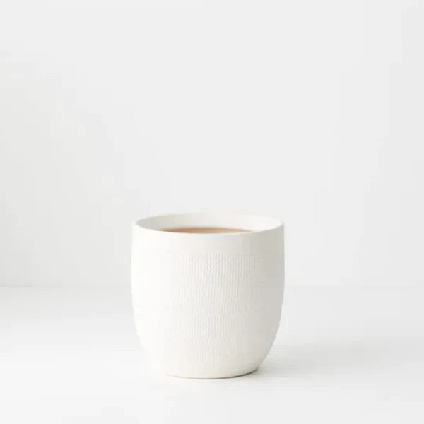 Sundra Pot - White