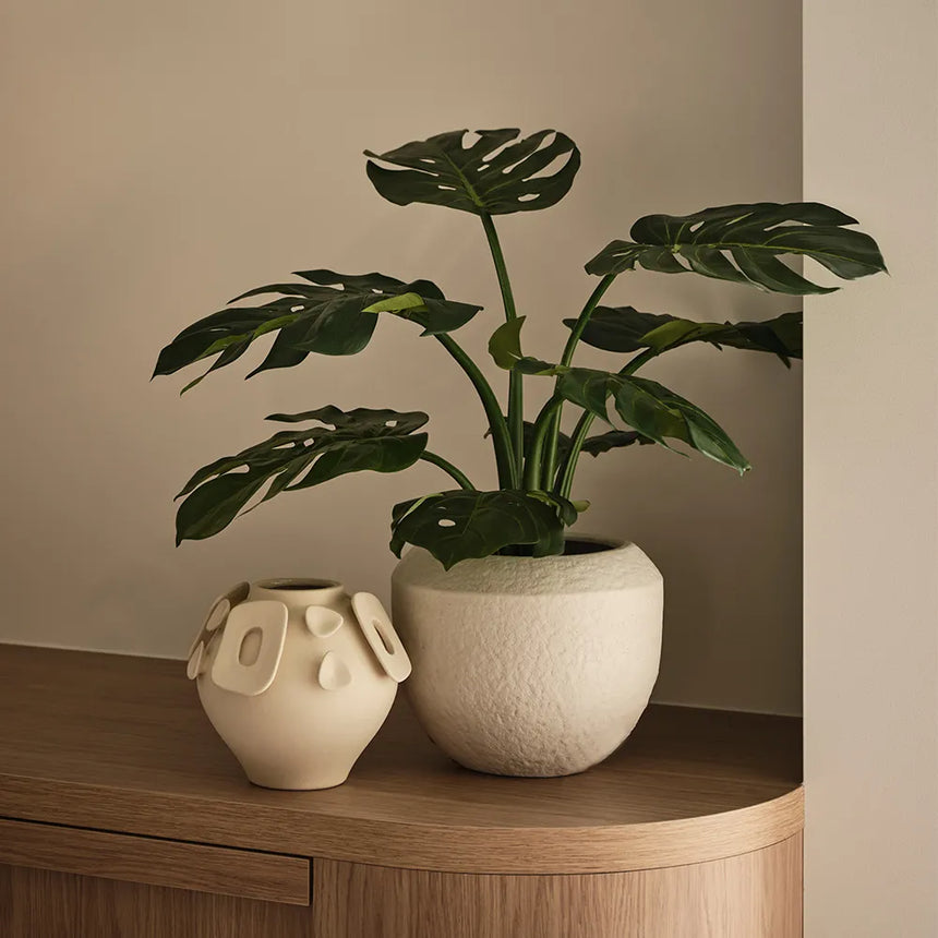 Offshoot || Takumi Pot