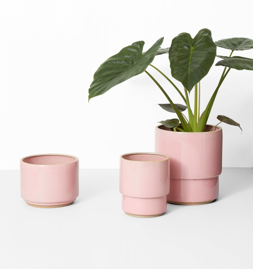 Middle of Nowhere | Angus Planter Pink Large