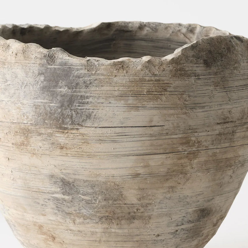 Offshoot || Barberini Pot Rockport