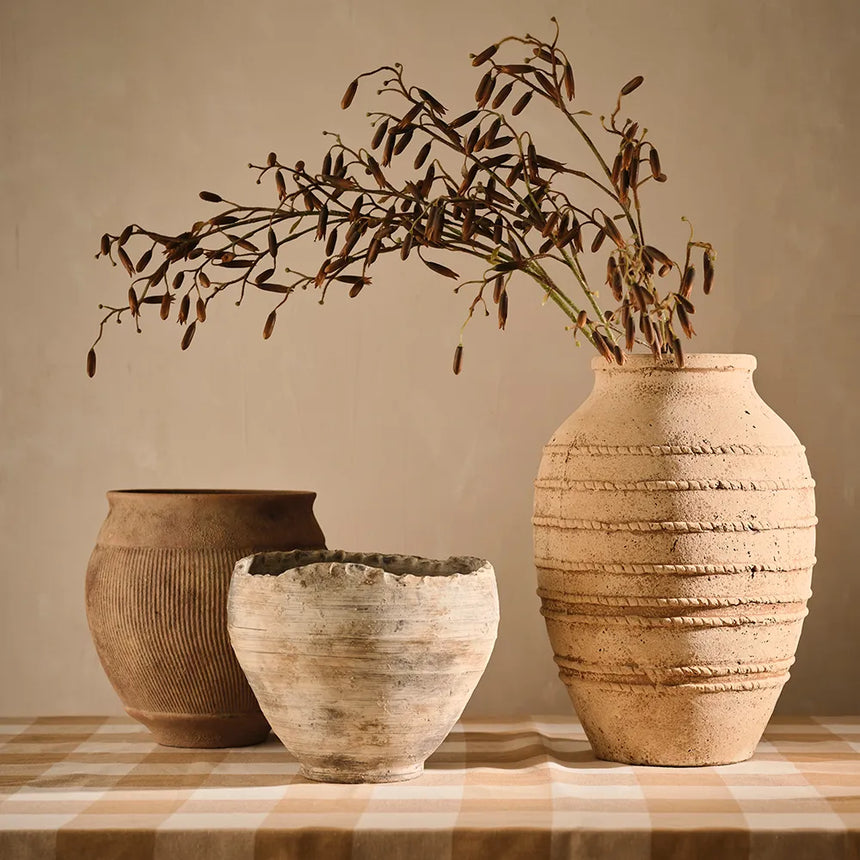 Offshoot || Barberini Pot Rockport