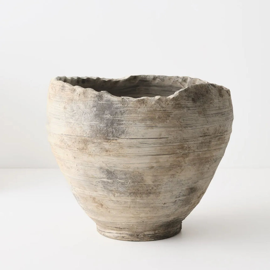 Offshoot || Barberini Pot Rockport