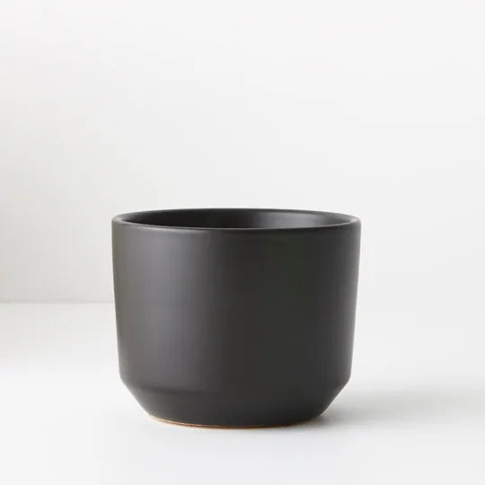 Offshoot | Billi Pot Small