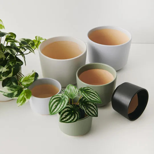 Offshoot | Billi Pot Small