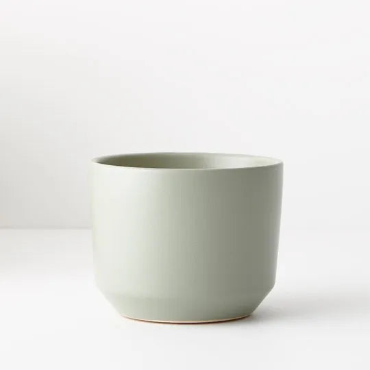 Offshoot | Billi Pot Small