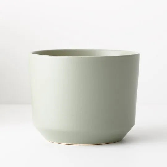 Offshoot | Billi Pot Medium