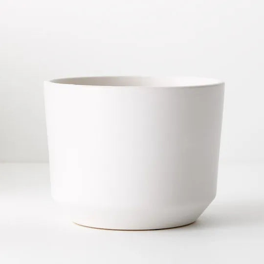 Offshoot | Billi Pot Medium